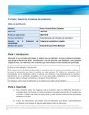 Formato: Diseño de la cadena de suministro