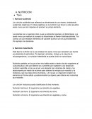Nutricion: Tipos , Etapas y ejemplos