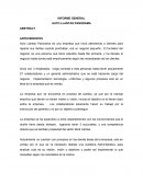 Caso empresa Auto Llantas Panorama