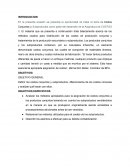 Costeo de productos conjunto