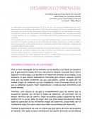DESARROLLO PRENATAL