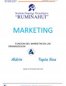 FUNCION DEL MARKETING EN LA ORGANIZACION