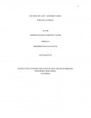 ESTUDIO DE CASO - DISTRIBUYAMOS S.A