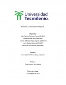 Tema del proyecto: Salud financiera de Crawforth Sinaloense