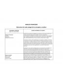 ANALISIS FINANCIERO¿COMO SE MAXIMIZA LA UTILIDAD?