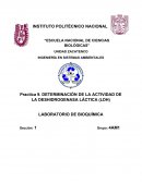 Reacciones enzimáticas de oxido reducción -Deshidrogenasa láctica (LDH)