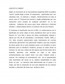 Que es el canon literario