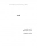 Universidad Politécnica Territorial del Estado Portuguesa JJ Montilla. ANÁLISIS