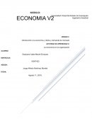 Economia en la organización