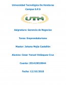 EMPRENDEDURISMO EN HONDURAS