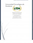 Informe Teoria general del Proceso