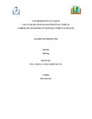 Resumen libro New New