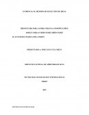 EVIDENCIA 10: METODO DE SELECCIÓN DE IDEAS