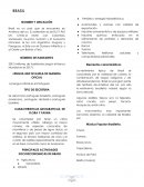 Caracteristicas de Brasil