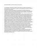 Los procesos pedagógicos