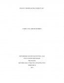 Conductismo desde el libro la oscuridad de los colores