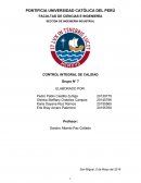 CONTROL INTEGRAL DE CALIDAD Grupo N° 7