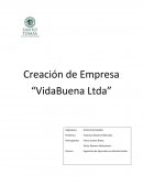Creación de Empresa “VidaBuena Ltda”