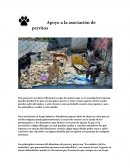Apoyo a la asociación de perritos