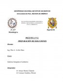 PRÁCTICA N°2: PREPARACIÓN DE SOLUCIONES