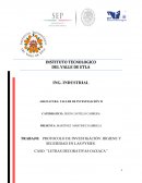 CASO: ”LETRAS DECORATIVAS OAXACA”