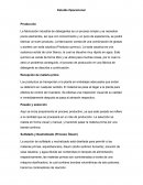 Actividad Práctica Estudio Operacional
