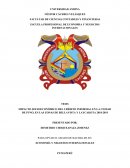 IMPACTO SOCIOECONÓMICO DEL CRÉDITO INFORMAL EN LA CIUDAD DE PUNO, EN LAS ZONAS DE BELLAVISTA Y LAYCAKOTA 2018-2019