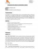 PROGRAMACIÓN OPERATIVA BIENVENIDO VERANO