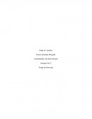 INGENIERÍA DE SOFTWARE