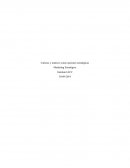 Carteras y matrices como opciones estratégicas Marketing Estratégico