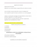 Ventas, segmento de mercado