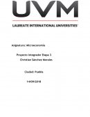 Actividad 9 Microeconomia uvm