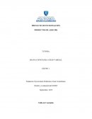 PROYECTO DE INVESTIGACIÓN. PRODUCTOS DE ASEO MK