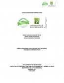 ANALISIS FINANCIERO EMPRESA ENKA