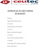 Tarea Recursos Humanos, empresa G.O.D.F