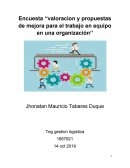 Encuesta ‘‘valoracion y propuestas de mejora para el trabajo en equipo en una organización’’
