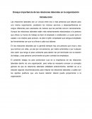 Importancia de las relaciones laborales en la organización