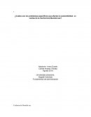 ¿Cuáles son los problemas específicos que afectan la sostenibilidad en ventas de la Cacharrería Mundial SAS?