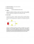 Ejemplo de un Reporte de Laboratorio