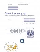 Comunicación grupal . Medios y recursos empleados en los diferentes tipos de grupos