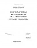 Redes TRAMAS TRóFICAS Piramides Tróficas