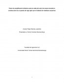 Factor de Amplificación