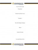 NIKE- GOOGLE GESTION DE MERCADEO