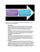 Apuntes de mercadotecnia