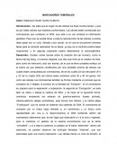 Marcadores tumorales