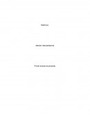 Primer avance proyecto mercadotecnia Al-andalus