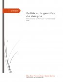 Politica Gestion de Riesgos