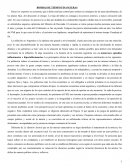 BOMBAS DE TIEMPO FINANCIERAS