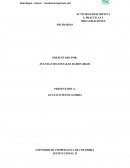 Actividad descriptiva 3: prácticas y organizaciones solidarias