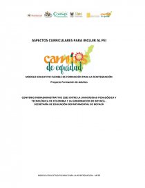 ASPECTOS CURRICULARES PARA INCLUIR AL PEI. Página 1